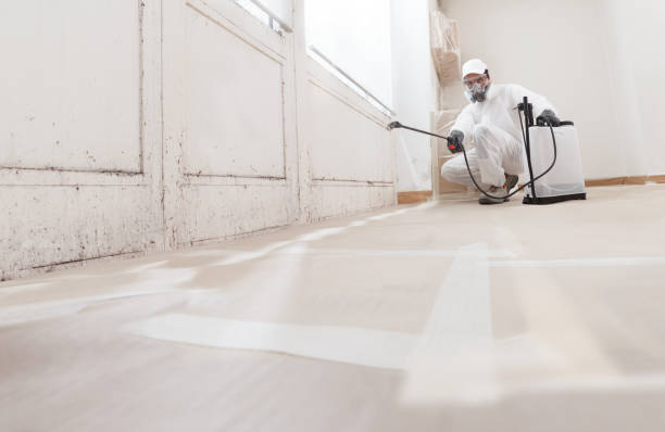 24/7 Emergency Mold Testing experts in Buckingham, PA
